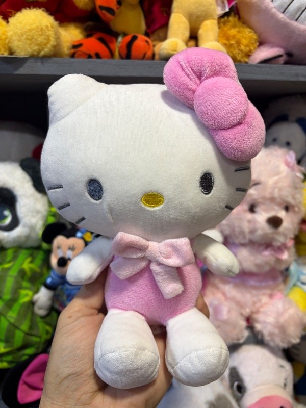 Producto - Hello Kitty sanrio Rosa