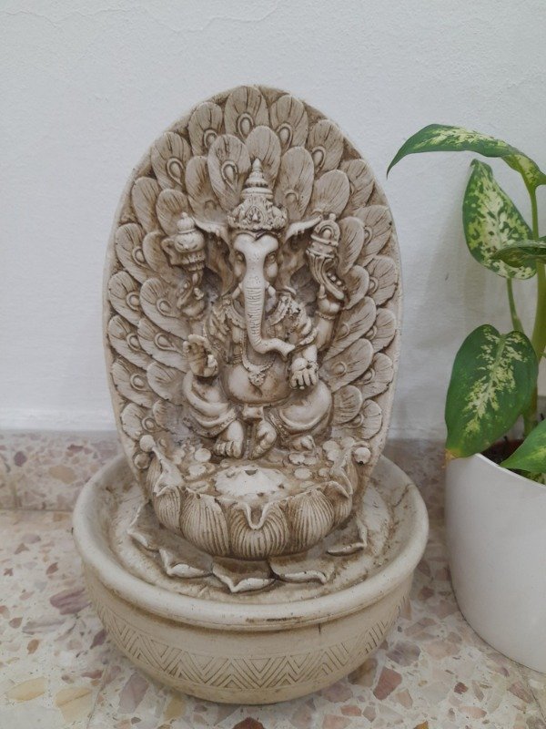 Producto - Ganesha