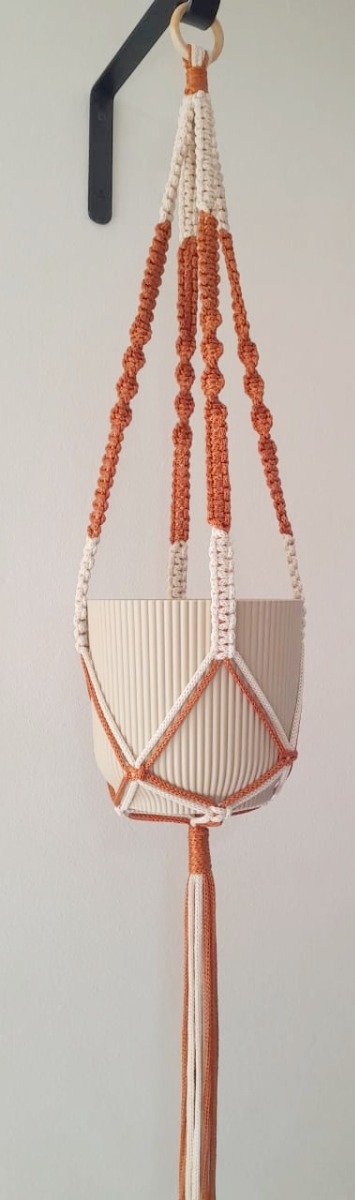 Producto - BROTE