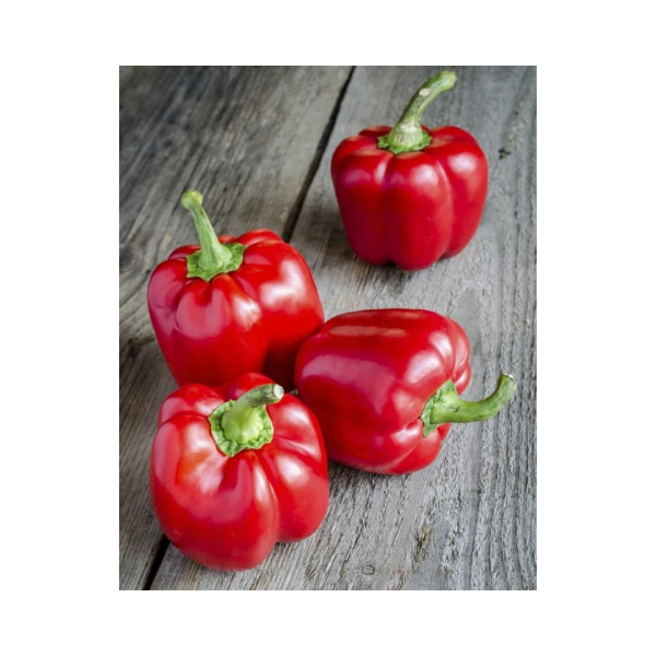 Producto - Morrón rojo 1k.