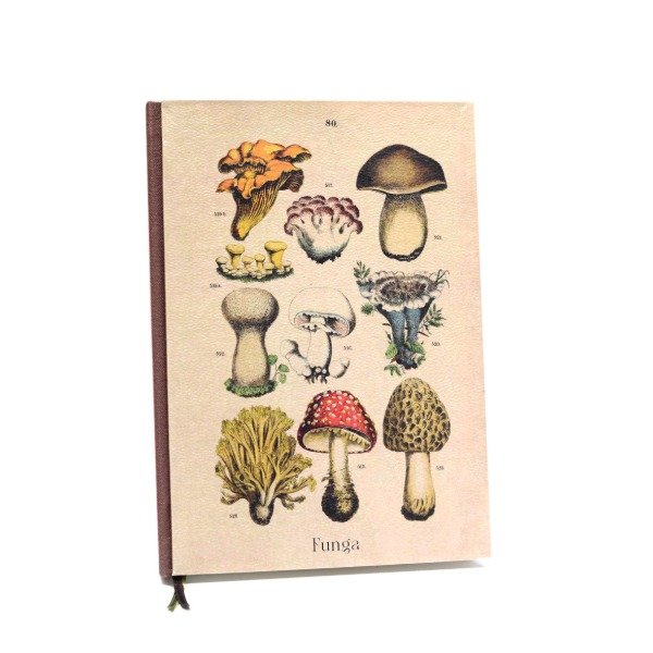 Producto - Hongos Familia