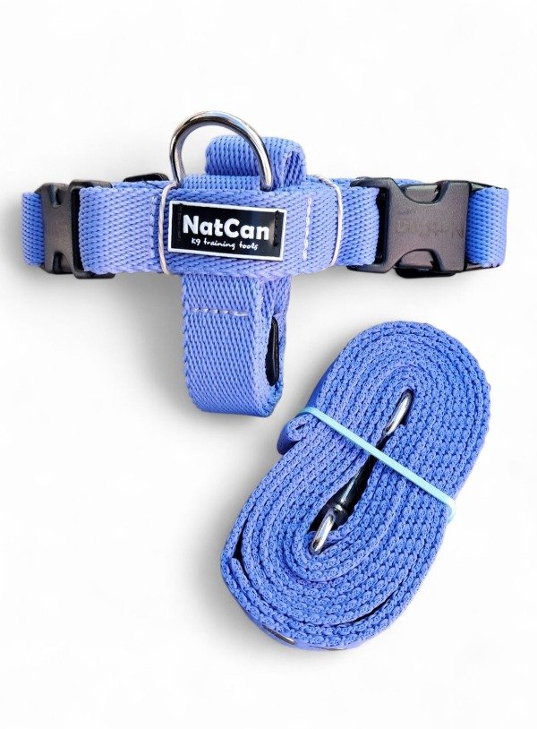 Producto - Combo Pretal H + Correa de 3 Metros