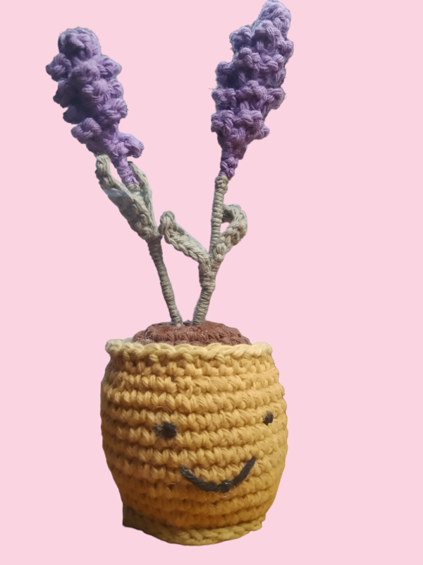 Producto - Maceta lavandas