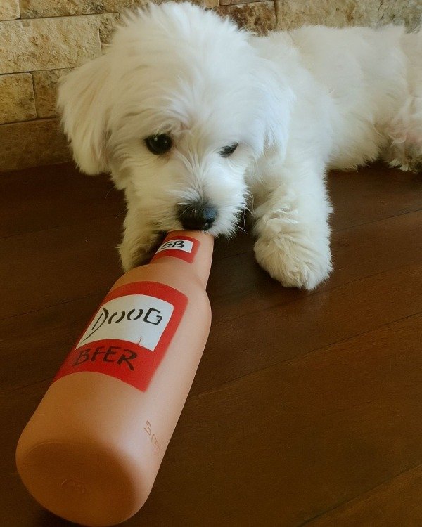 Producto - Juguete para Mascota con Chifle Botella de Cerveza