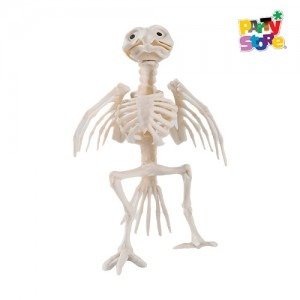 Producto - ESQUELETO DE LORO