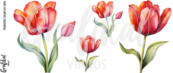 Producto - TransferColorUV C085