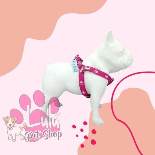 Producto - ARNESES CLICK REGULABLE