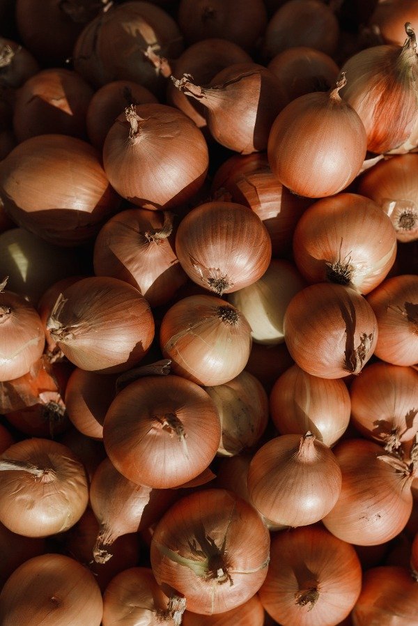 Producto - CEBOLLA
