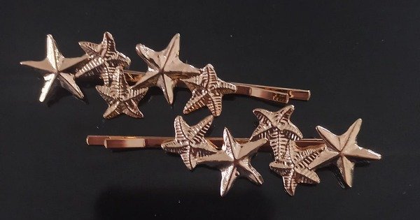 Producto - Par invisible estrellitas en Acero rose