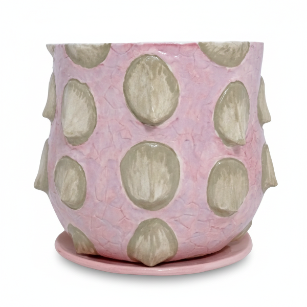 Producto - Acorazado - Maceta y plato.