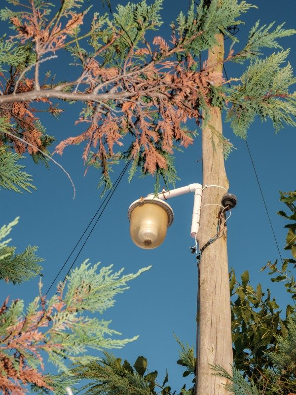 Producto - Impresión Fine Art - Enmarcado - Medidas variables - 12