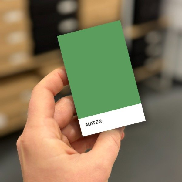 Producto - IMAN Colores MATE