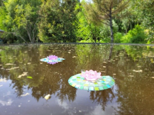 Producto - Nenúfares Flotantes (por unidad)