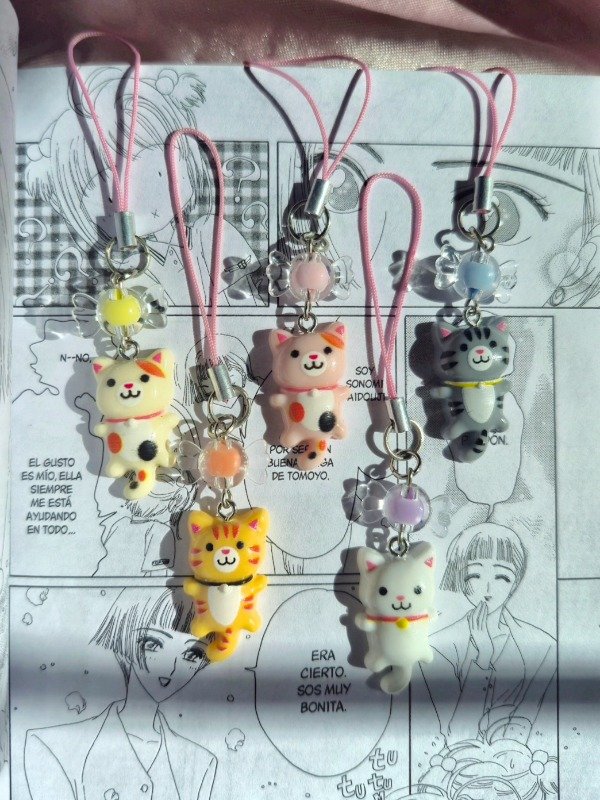 Producto - Charm Purr