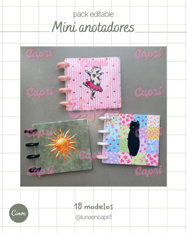 Producto - Mini anotadores