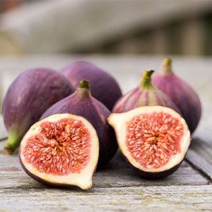 Producto - Ficus carica (Higuera)