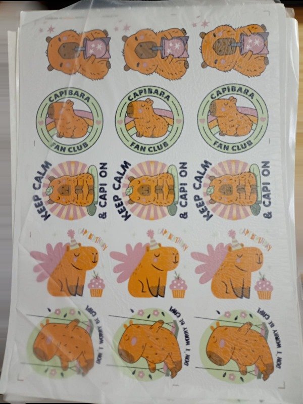 Producto - Calco Vitrificable Capybara M2 Ceramica