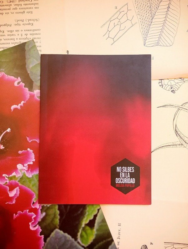 Producto - NO SILBES EN LA OSCURIDAD de Melisa Papillo
