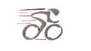 Logo de www.bicicleteriadelpilar.com.ar