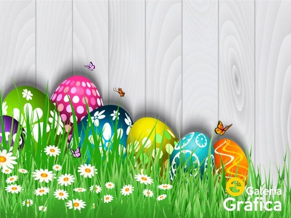Producto - Pascuas FS 10