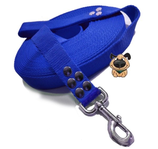 Producto - Correa de perro 10 mts x 2.5cm paseo, recreación. educación Mosquetón reforzado