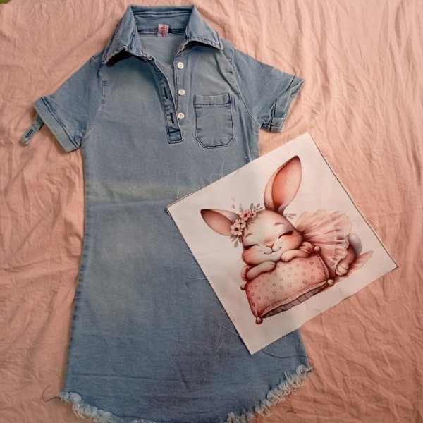 Producto - Vestido y aplique celeste 4