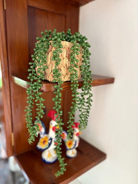 Producto - Planta artificial Monedita