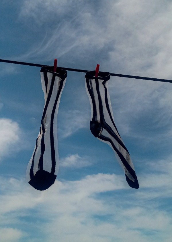 Producto - Medias TRANSPARENTES bordadas Negras de RAYAS