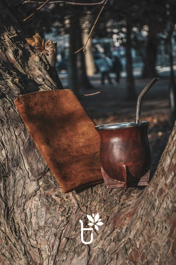 Producto - Combo Camionero de Calabaza ATC Gamuzado