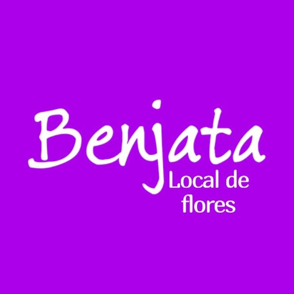 Producto - Remeras infantiles estampadas