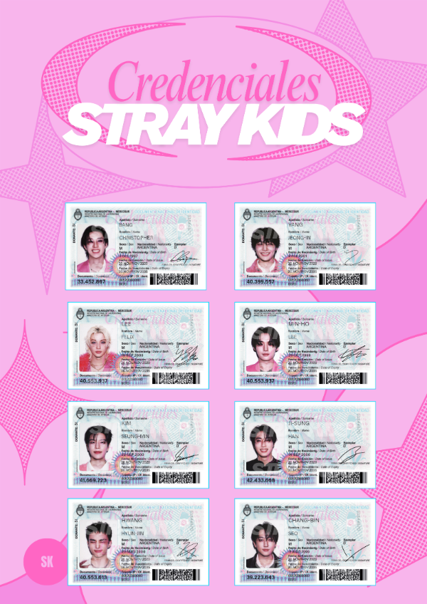 Producto - Credenciales DNI Stray Kids