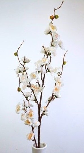 Producto - FLOR DE DURAZNO - 1
