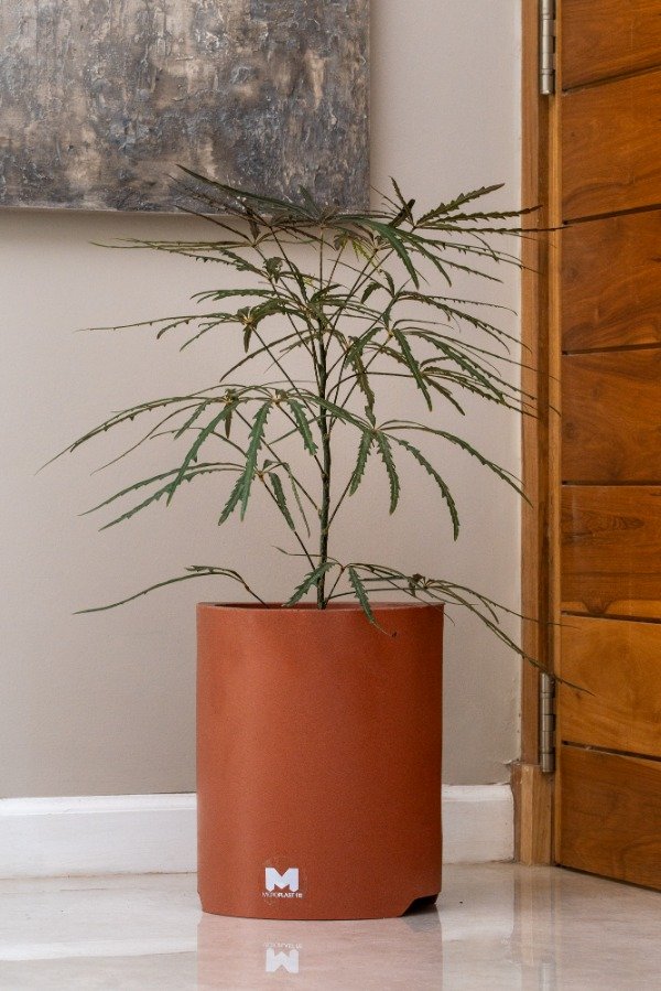 Producto - Ninna Terracota
