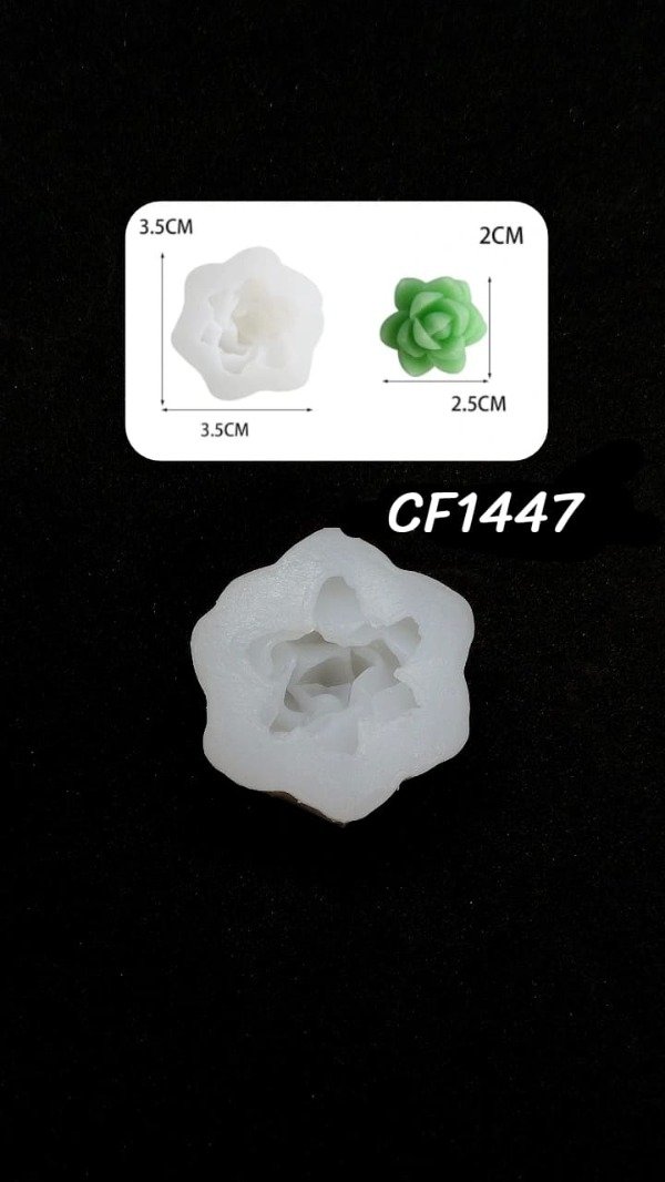 Producto - SUCULENTA MINI - CF1447
