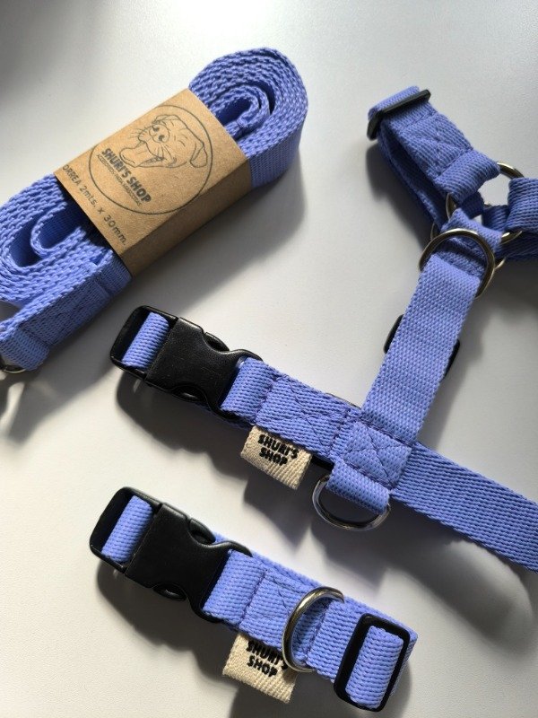 Producto - Set Liso TALLE S - PRETAL+COLLAR+CORREA