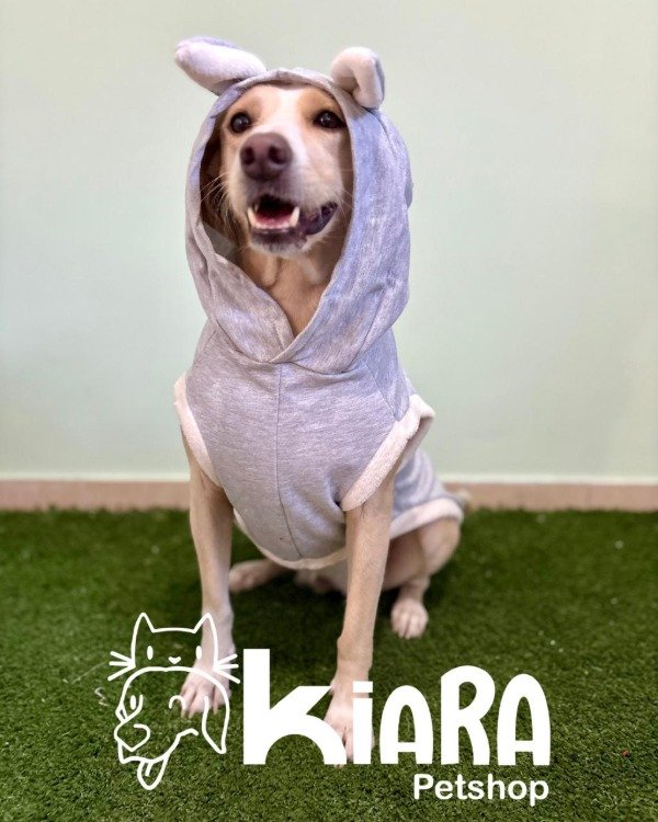 Producto - Conejito para Perros Grandes