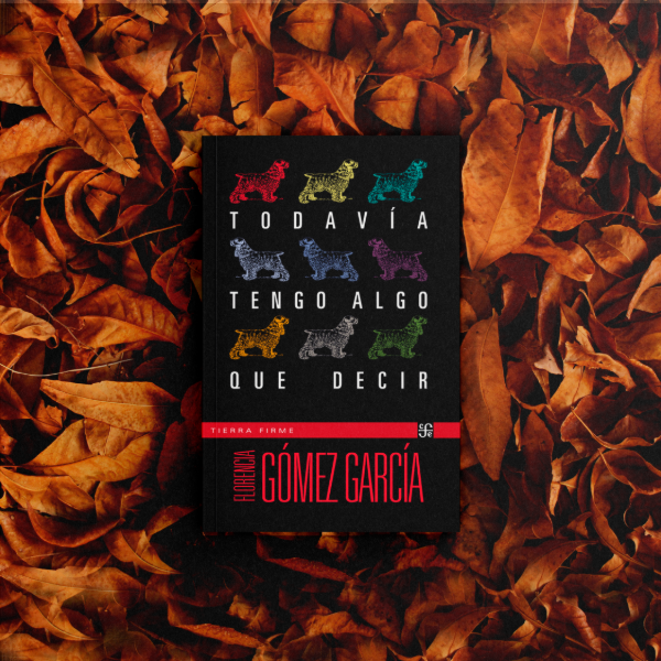 Producto - Todavia tengo algo que decir - Florencia Gómez García