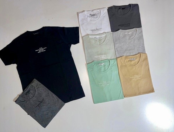 Producto - Remera Clasica Pequeña estampa (413)