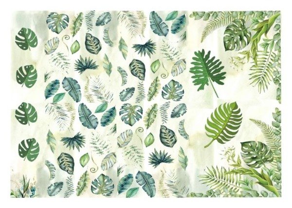 Producto - Láminas de Seda NAT029 (x5 un)