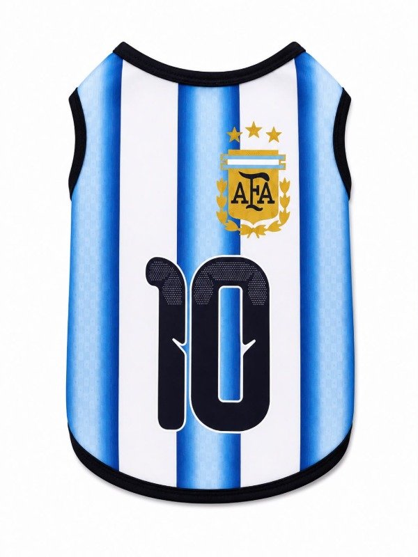 Producto - CAMISETA ARGENTINA
