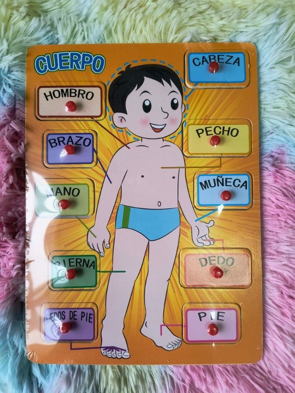 Producto - Juego partes del cuerpo