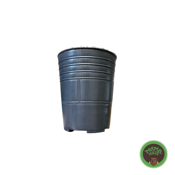 Producto - Maceta Soplada 500ml