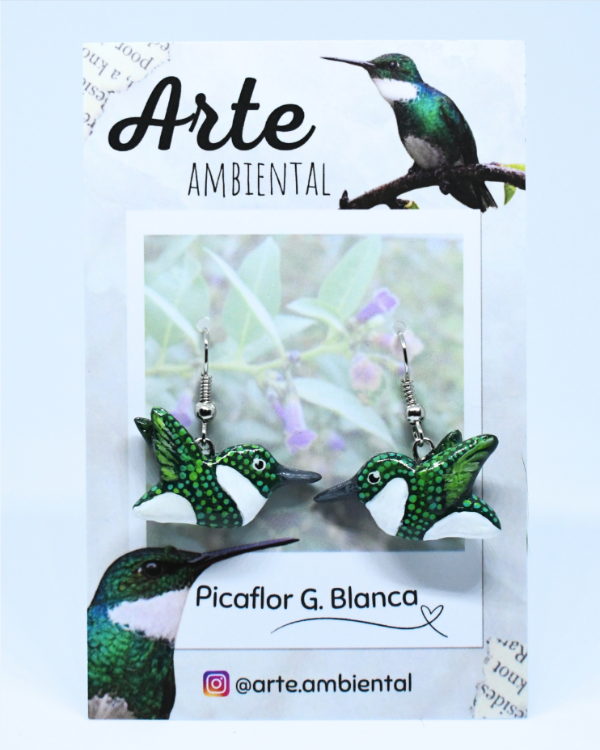 Producto - Aritos de Picaflor Garganta Blanca
