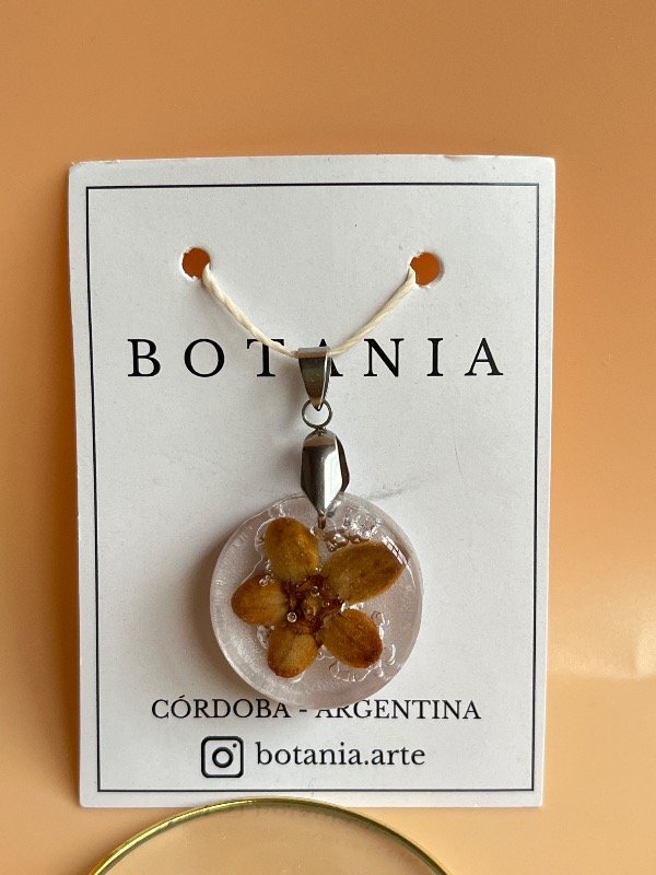 Producto - Semilla 9