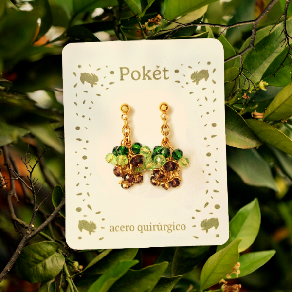 Producto - Frutos morados - Aros