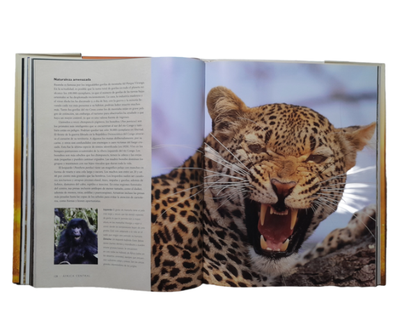 Miniatura de producto - 6