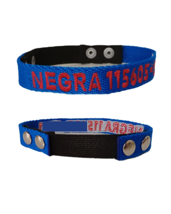Producto - Collar de identificación Gatos - modelo pulsera sin regulación
