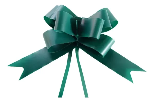 Producto - Moño magico verde (paquete de 10 unidades)