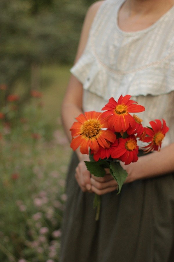 Producto - Combo de Semillas "The Gatherer" - 2