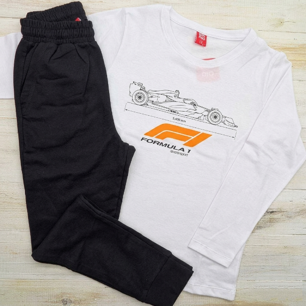 Producto - Remera manga larga F1 - 1